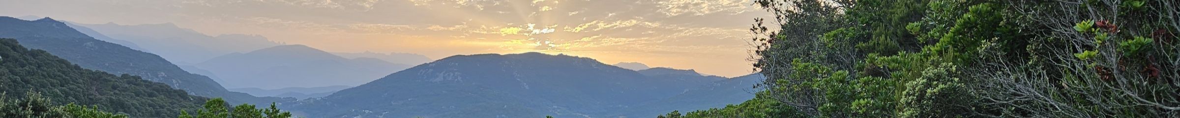 2023 07 21 06 30 38 250